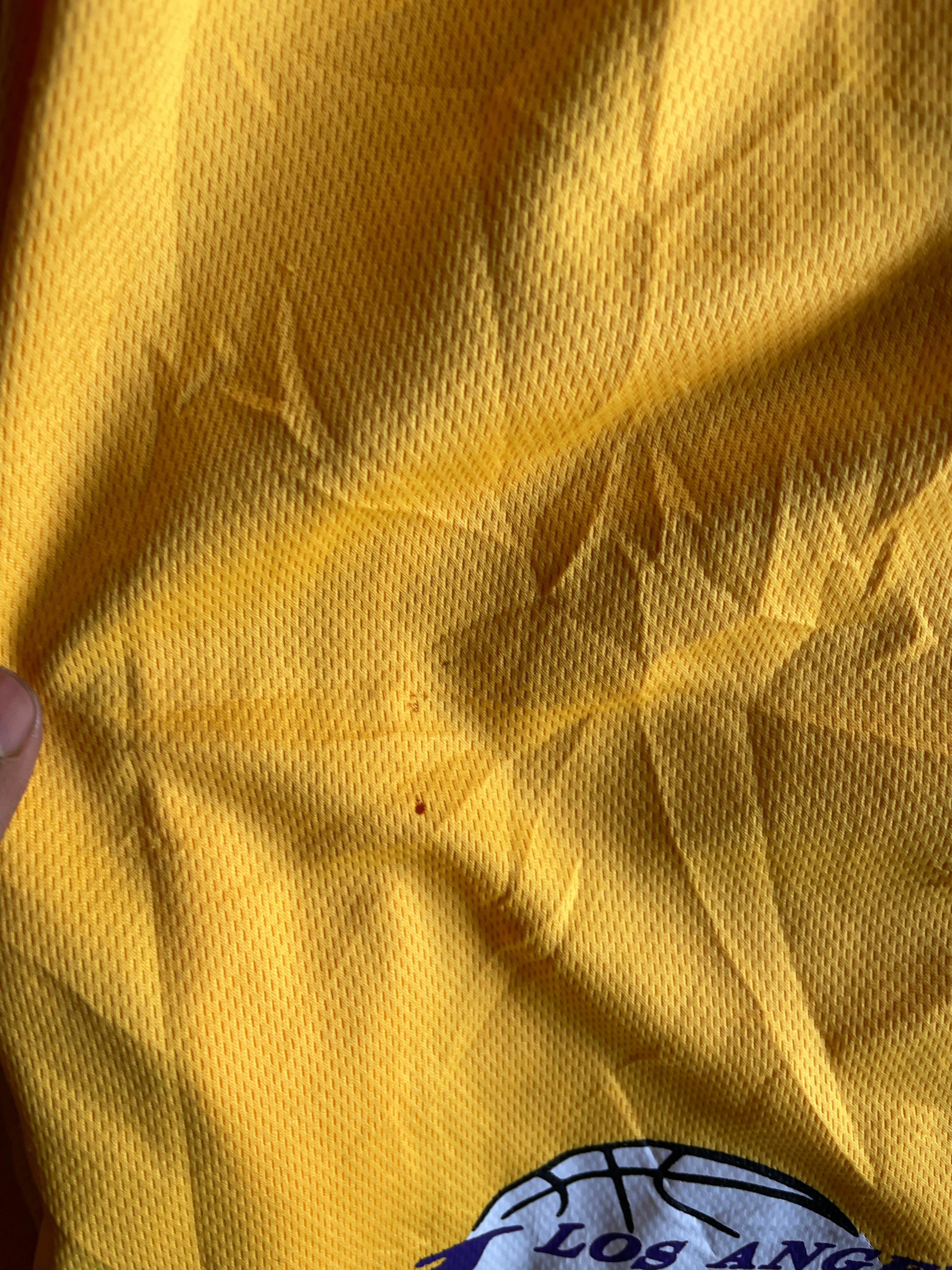 Lakers Shorts (W28-30 L20)