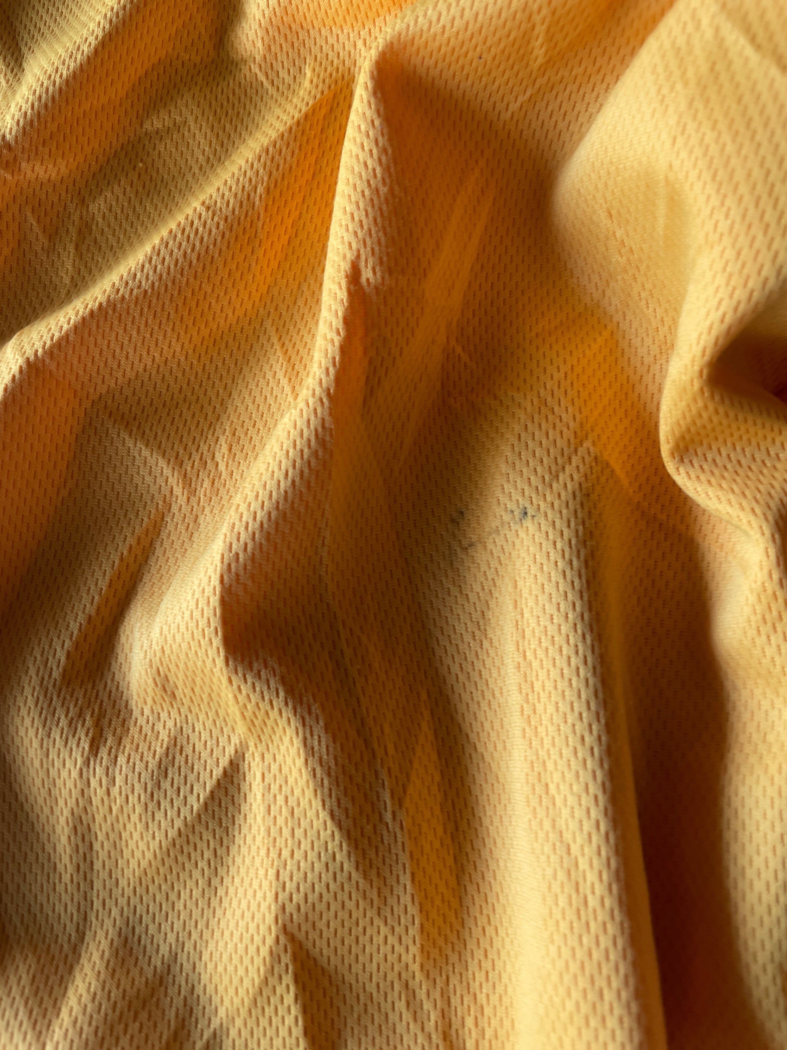 Lakers Shorts (W28-30 L20)